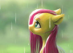 Size: 2892x2117 | Tagged: safe, artist:bunchedupletters, fluttershy, pegasus, pony, g4, blurry background, bust, cute, daaaaaaaaaaaw, female, high res, looking up, mare, portrait, profile, qr code, rain, shyabetes, simple background, smiling, solo, wet, wet mane