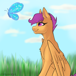 Size: 2048x2048 | Tagged: safe, artist:holomouse, scootaloo, butterfly, pegasus, pony, g4, high res, solo