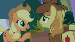 Size: 1920x1080 | Tagged: safe, screencap, applejack, braeburn, earth pony, pony, g4, the summer sun setback, female, male, mare, stallion