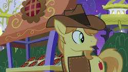 Size: 1920x1080 | Tagged: safe, screencap, braeburn, earth pony, pony, g4, the summer sun setback, male, solo, stallion