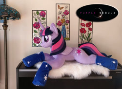 Size: 915x670 | Tagged: safe, artist:purplenebulastudios, twilight sparkle, alicorn, pony, g4, clothes, irl, photo, plushie, prine, socks, solo, twilight sparkle (alicorn)