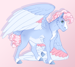 Size: 2000x1800 | Tagged: safe, artist:seffiron, oc, oc only, oc:cloud jumper, pegasus, pony, colored wings, magical lesbian spawn, male, multicolored wings, offspring, parent:pinkie pie, parent:rainbow dash, parents:pinkiedash, solo, stallion, wings