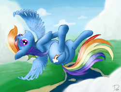 Size: 4840x3660 | Tagged: safe, artist:dhm, rainbow dash, pegasus, pony, g4, cloud, cute, flying