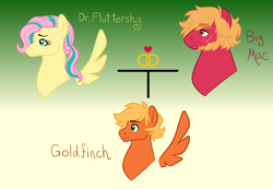 Size: 2600x1800 | Tagged: safe, artist:akajulester, big macintosh, fluttershy, oc, oc:goldfinch, earth pony, pegasus, pony, g4, alternate universe, beard, colt, facial hair, family tree, female, floating wings, gradient background, male, mare, offspring, parent:big macintosh, parent:fluttershy, parents:fluttermac, ship:fluttermac, shipping, stallion, straight, wings