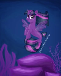 Size: 1080x1350 | Tagged: safe, artist:mmy_little_drawings, twilight sparkle, seapony (g4), g4, female, horn, seaponified, seapony twilight, smiling, solo, species swap, underwater, watermark, wings