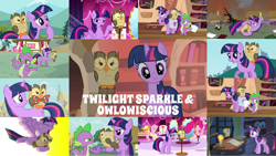 Size: 1280x721 | Tagged: safe, edit, edited screencap, editor:quoterific, screencap, applejack, fluttershy, owlowiscious, pinkie pie, spike, twilight sparkle, alicorn, bird, dragon, earth pony, owl, pegasus, pony, unicorn, do princesses dream of magic sheep, g4, just for sidekicks, may the best pet win, owl's well that ends well, twilight's kingdom, bag, book, bowtie, brush, candle, carousel boutique, destroyed, duo, duo female, explosion, eyes closed, falling, female, glowing horn, golden oaks library, hopping, horn, magic, magic aura, male, night, open mouth, quill, sad, saddle bag, tired, trio, twilight sparkle (alicorn), unicorn twilight