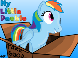 Size: 4032x3024 | Tagged: safe, artist:mudkip91/tetrahedron, rainbow dash, pegasus, pony, fanfic:my little dashie, g4, box, cardboard box, colorful, cute, dashabetes, grin, lighting, pony in a box, shading, smiling, title