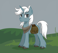Size: 2400x2178 | Tagged: safe, artist:saby, derpibooru exclusive, oc, oc only, oc:ironwood atlas, pony, unicorn, horse heresy, bag, cel shading, cloud, cloudy, cloven hooves, colored hooves, eyebrows, eyebrows visible through hair, gift art, high res, long feather, looking at you, male, neckerchief, outdoors, saddle bag, serious, shading, solo, stallion, standing, unshorn fetlocks