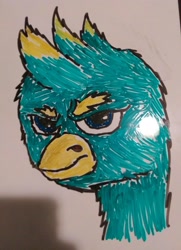 Size: 2226x3080 | Tagged: safe, gallus, avian, griffon, g4, :c, >:c, angry, beak, bust, dry erase board, frown, glare, high res, marker drawing, mohawk, portrait, quality, scowl, spiky hair, traditional art