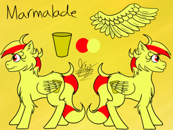 Size: 4200x3150 | Tagged: safe, artist:jay_wackal, oc, oc only, oc:marmalade, pegasus, pony, original character do not steal, reference sheet, solo