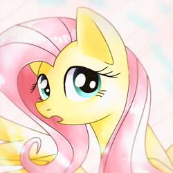 Size: 768x768 | Tagged: safe, artist:namaenonaipony, fluttershy, pegasus, pony, g4, cute, daaaaaaaaaaaw, female, mare, shyabetes, solo