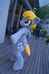 Size: 957x1440 | Tagged: safe, derpy hooves, human, g4, clothes, cosplay, costume, fursuit, irl, irl human, japan, japan ponycon, photo, ponysuit