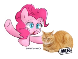 Size: 1500x1147 | Tagged: safe, artist:handgunboi, pinkie pie, cat, earth pony, pony, g4, bread, catloaf, food, sign, simple background, white background