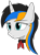 Size: 1062x1441 | Tagged: safe, artist:lonebigcity, oc, oc only, oc:nova marigold, pony, unicorn, collar, simple background, solo, transparent background