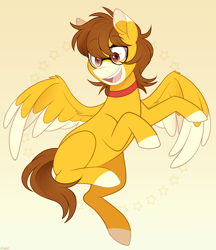 Size: 950x1100 | Tagged: safe, artist:higglytownhero, oc, oc only, pegasus, pony, choker, coat markings, eye clipping through hair, facial markings, glasses, markings, snip (coat marking), solo, two toned wings, wings