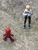 Size: 1260x1639 | Tagged: safe, artist:theanimefanz, rainbow dash, g4, gwen stacy, irl, marvel legends, photo, spider-gwen, spider-ham, spider-man: into the spider-verse, spiderham, toy