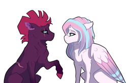 Size: 4431x2928 | Tagged: safe, artist:venommocity, princess flurry heart, tempest shadow, pony, g4, older, scar, simple background, white background