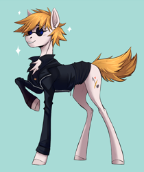 Size: 2290x2730 | Tagged: safe, artist:1an1, oc, oc only, earth pony, pony, high res, solo