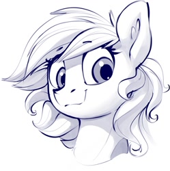 Size: 1249x1255 | Tagged: safe, artist:dimfann, oc, oc only, pony, bust, looking at you, portrait, sketch, smiling