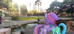 Size: 3264x1504 | Tagged: safe, artist:borime, oc, oc only, oc:borime, oc:fancy jady, oc:硼霜, pegasus, pony, g4, to where and back again, couple, irl, photo, ponies in real life
