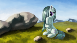 Size: 5332x3000 | Tagged: safe, artist:flusanix, marble pie, earth pony, pony, g4, cute, female, grass, hair over one eye, high res, marblebetes, mare, outdoors, rock, sitting, solo