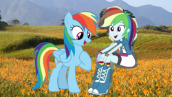 Size: 1920x1080 | Tagged: safe, rainbow dash, earth pony, human, pegasus, pony, equestria girls, g4, 1000 hours in ms paint, cute, dashabetes, female, flower, human ponidox, interspecies selfcest, lesbian, mountain, self paradox, self ponidox, self shipping, selfcest, ship:dashdash, shipping, sweet dreams fuel