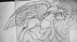 Size: 1024x566 | Tagged: safe, artist:maryhoovesfield, oc, oc only, pegasus, pony, ear fluff, grayscale, lineart, monochrome, pegasus oc, signature, solo, traditional art, wings