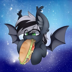 Size: 2160x2160 | Tagged: safe, artist:cottonaime, oc, oc only, oc:q'pon, bat pony, pony, bat wings, ear fluff, eating, eye clipping through hair, eyebrows, eyebrows visible through hair, fangs, food, high res, male, night, night sky, sandwich, sky, solo, spread wings, stallion, stars, wings