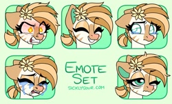 Size: 1532x932 | Tagged: safe, artist:sickly-sour, oc, oc only, oc:bombay colada, pony, zebra, angry, crying, emotes, female, flower, flower in hair, happy, mare, tired