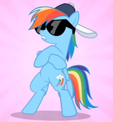 Size: 596x645 | Tagged: safe, screencap, rainbow dash, pony, g4, may the best pet win, baseball cap, bipedal, cap, cropped, crossed hooves, female, hat, mare, solo, sunglasses