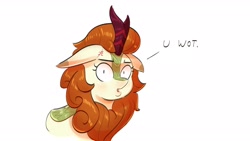 Size: 1920x1080 | Tagged: safe, artist:another_pony, autumn blaze, kirin, g4, cross-popping veins, dialogue, floppy ears, looking at you, reaction image, shrunken pupils, simple background, solo, u wot m8, white background, wide eyes