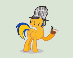 Size: 1280x1024 | Tagged: safe, artist:mlpfan3991, oc, oc only, oc:flare spark, pegasus, pony, g4, bubble pipe, deerstalker, detective, eyes closed, female, hat, pipe, sherlock holmes, simple background, solo