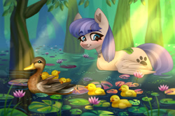 Size: 3000x2000 | Tagged: safe, artist:irinamar, oc, oc only, oc:snow pup, bird, duck, pegasus, pony, blushing, collar, cute, duckling, female, high res, lilypad, mare, pet tag, pond, solo, swimming, tree, water