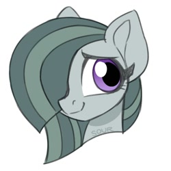 Size: 1000x1000 | Tagged: safe, artist:sickly-sour, marble pie, earth pony, pony, g4, female, head only, mare, simple background, solo, white background