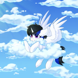 Size: 1672x1669 | Tagged: safe, artist:shinizavr, oc, oc only, pegasus, pony, cloud, commission, sky, solo, ych result