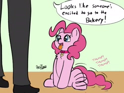 Size: 2732x2048 | Tagged: safe, artist:datzigga, pinkie pie, earth pony, human, pony, g4, behaving like a dog, chest fluff, collar, cute, diapinkes, drool, high res, open mouth, pony pet, puppy pie, starry eyes, this will not end well, tongue out, twitchy tail, wingding eyes