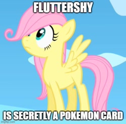 Size: 503x496 | Tagged: safe, edit, edited screencap, screencap, fluttershy, g4, season 1, the cutie mark chronicles, caption, female, filly, filly fluttershy, image macro, imgflip, meme generator, text, younger