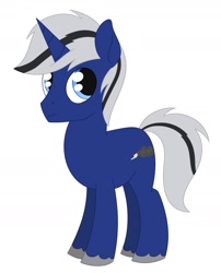 Size: 1478x1829 | Tagged: safe, artist:dyonys, oc, oc:blue storm, pony, unicorn, male, solo, stallion, unshorn fetlocks