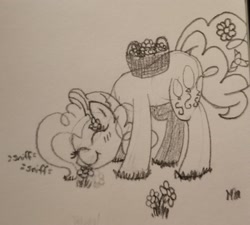 Size: 1844x1657 | Tagged: safe, artist:legendoflink, pinkie pie, g4, basket, eyes closed, flower, flower in hair, looking down, smelling, smiling, sniffing
