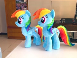 Size: 2048x1536 | Tagged: safe, artist:nekokevin, rainbow dash, pegasus, pony, g4, double rainbow, duo, female, irl, mare, photo, plushie, self ponidox, side view, smiling, table