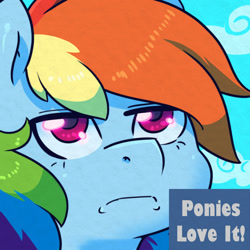 Size: 1200x1200 | Tagged: safe, artist:talimingi, rainbow dash, pegasus, pony, g4, frown, reaction image, solo, unamused