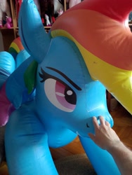 Size: 3000x4000 | Tagged: safe, artist:arniemkii, rainbow dash, inflatable pony, pegasus, pony, g4, boop, bootleg, hongyi, inflatable, inflatable pegasus, inflatable toy, irl, photo