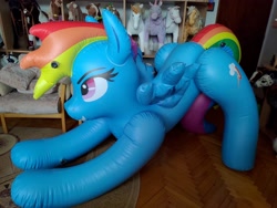Size: 4000x3000 | Tagged: safe, artist:arniemkii, rainbow dash, inflatable pony, pegasus, pony, g4, bootleg, hongyi, inflatable, inflatable toy, irl, iwtcird, meme, photo, solo