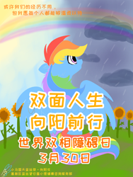 Size: 1500x2000 | Tagged: safe, artist:zoran, rainbow dash, pony, g4, bipolar, chinese, depression, flower, mental illness, poster, psychology, rain, rainbow, solo, sunflower, sunlight