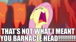 Size: 2100x1180 | Tagged: safe, edit, edited screencap, screencap, fluttershy, derpibooru, g4, sweet and smoky, angry, caption, dying for pie, image macro, juxtaposition, juxtaposition win, male, meme, meta, out of character, quote, reference, spongebob squarepants, squidward tentacles, text, yelling
