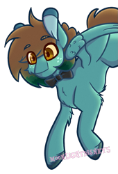 Size: 585x860 | Tagged: safe, artist:thatonefluffs, oc, oc only, oc:feather bloom, pegasus, pony, bowtie, eyebrows, fluffy, freckles, simple background, solo, transparent background, unshorn fetlocks, watermark