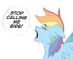 Size: 1197x961 | Tagged: safe, artist:owlnon, color edit, edit, editor:dashiswaifu69, rainbow dash, pegasus, pony, g4, birb, birb in the comments, colored, crying, crying aya asagiri, despair, drawthread, eyes closed, floppy ears, meme, misery, open mouth, ponified meme, sad, solo, speech bubble, tempting fate