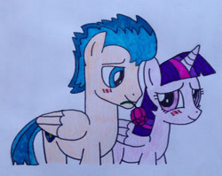 Size: 1280x1018 | Tagged: safe, artist:dragonpriness, flash sentry, twilight sparkle, alicorn, pony, g4, blushing, female, flower, flower in mouth, male, rose, rose in mouth, ship:flashlight, shipping, straight, traditional art, twilight sparkle (alicorn)