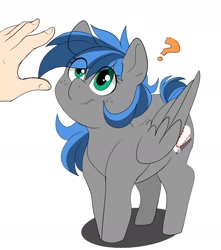 Size: 1243x1407 | Tagged: safe, artist:littlebibbo, oc, oc only, oc:bibbo, human, pegasus, pony, confused, female, freckles, hand, imminent petting, looking at something, looking up, mare, offscreen character, question mark, reaching, smiling, solo focus