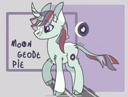 Size: 2207x1668 | Tagged: safe, artist:caramelbolt24, oc, oc only, classical unicorn, pony, unicorn, abstract background, cloven hooves, ear fluff, glasses, horn, leonine tail, magical lesbian spawn, male, offspring, parent:marble pie, parent:moondancer, reference sheet, signature, solo, stallion, unshorn fetlocks